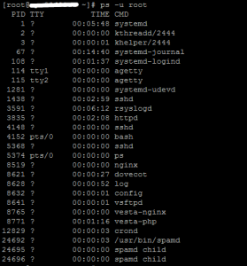 Как узнать активные процессы сервера?