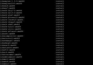 Как вывести список установленных пакетов на VPS?