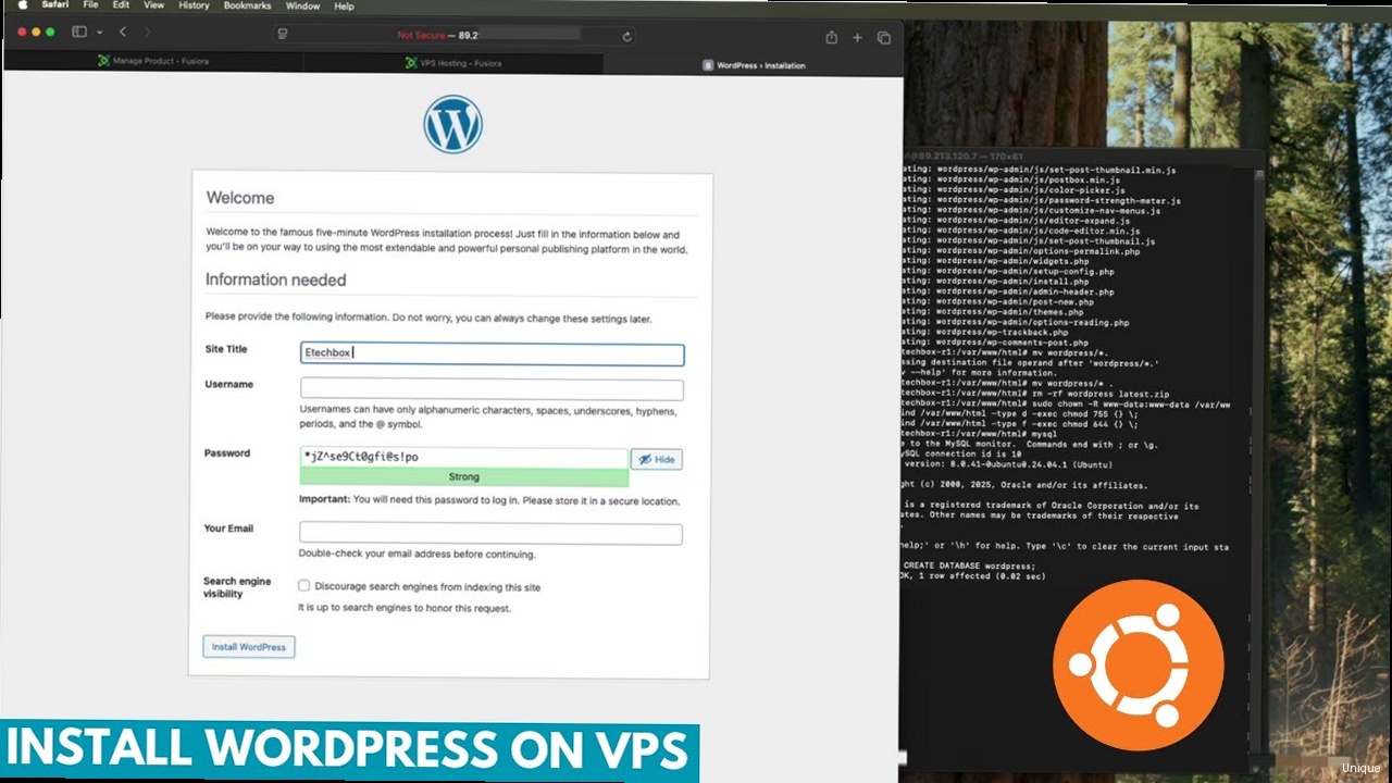 Как установить WordPress на Virtuozzo VPS? - Скриншот панели управления Virtuozzo