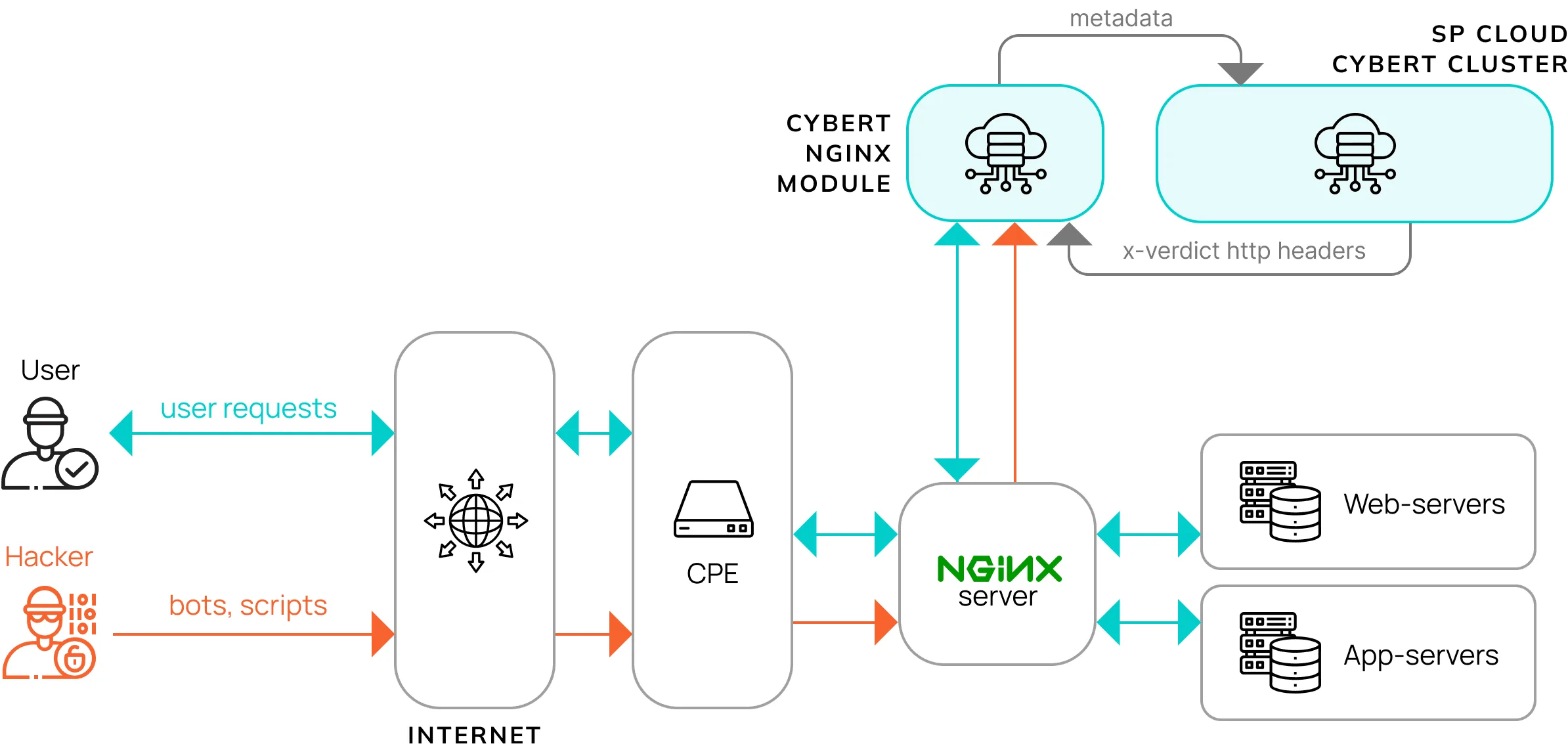 How to Secure Your Server APIs from Hackers: A Comprehensive Guide