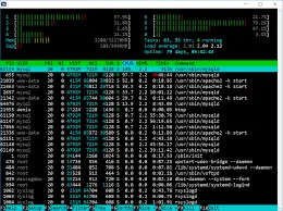 Best Server Monitoring Tools: Which is Right for You?