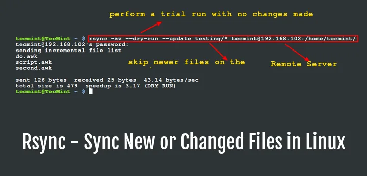 How to Use Rsync for Data Mirroring: A Complete Guide
