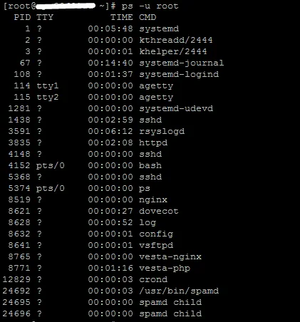 Cómo Identificar Procesos Activos en tu Servidor: Guía Completa