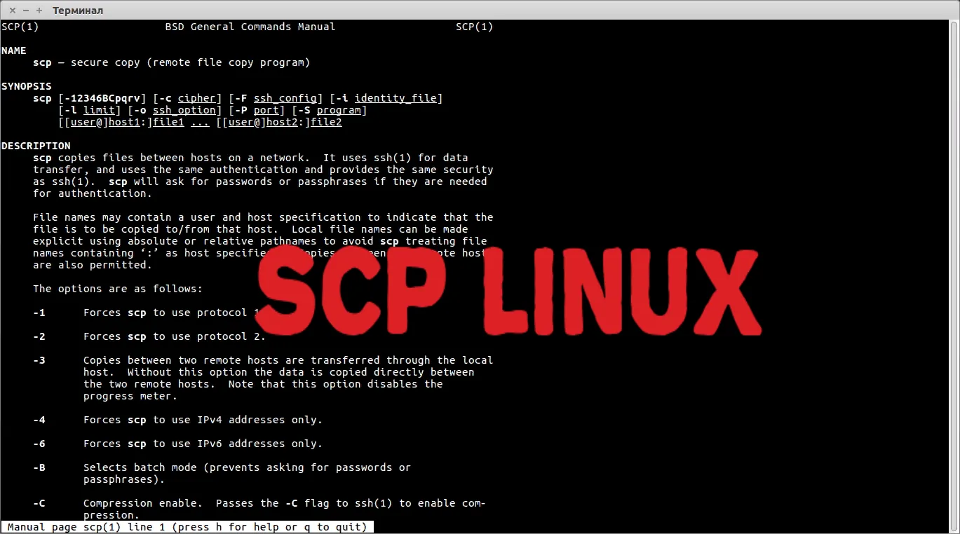 How to Securely Transfer Backups to a Remote Server Using SCP