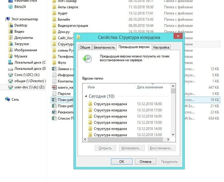How to Recover Deleted Files from Your Server's Recycle Bin?