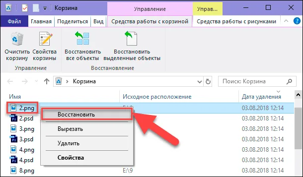 Cómo recuperar archivos borrados accidentalmente: Guía completa