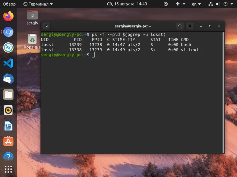How to Delete a User on Your VPS: A Step-by-Step Guide