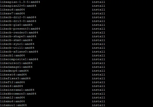 How to List Installed Packages on Your VPS: A Complete Guide